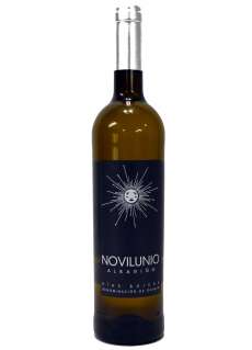 Vino Novilunio