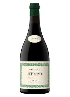 Vino rosso Cuentaviñas Septeno