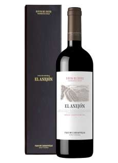 Vino rosso El Anejón Magnum