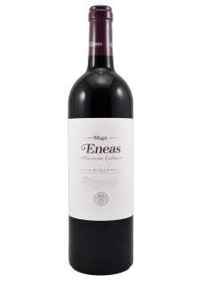 Vino rosso Eneas Maceración Carbónica