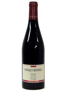 Vino rosso Enrique Mendoza Pinot Noir