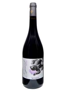 Vino rosso Espacial Tempranillo y Syrah