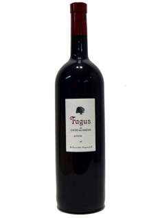 Vino rosso Fagus Magnum