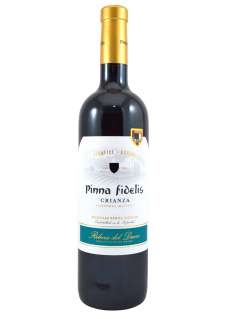 Vino rosso Pinna Fidelis  2021 - 3 Uds.