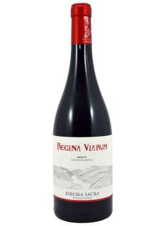 Vino rosso Regina Viarum Mencía 2024 - 3 Uds.