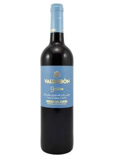 Vino rosso Valdubón 9 Meses