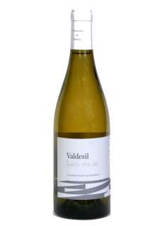 Vino Valdesil