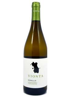 Vino Vionta Godello